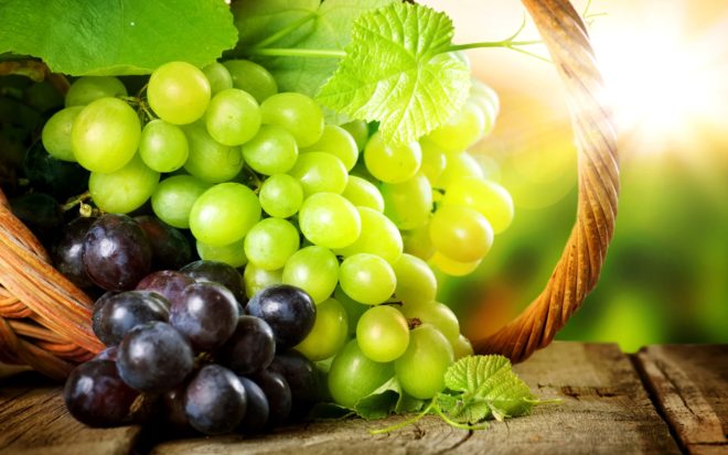 Многие задаются вопросом как вырастить здоровый куст винограда