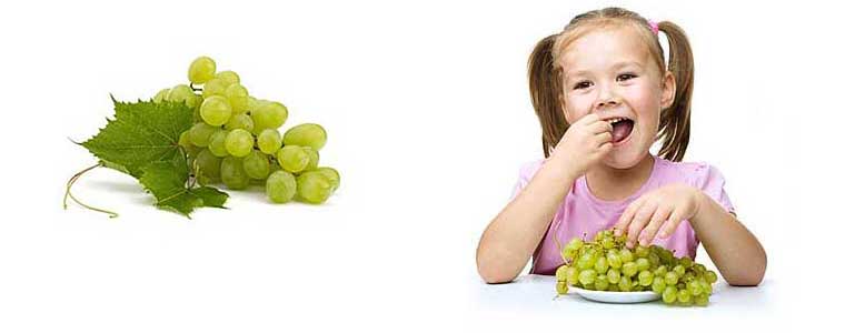 Целебный виноград, польза и вред для организма человека.