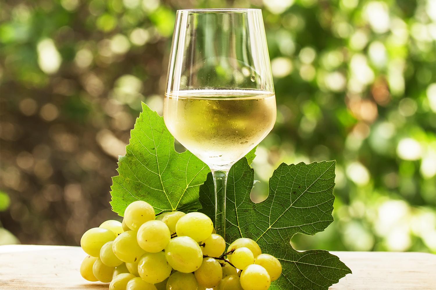 Вино из белого винограда