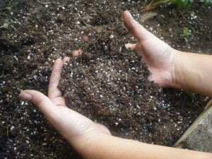 Мочевина в почве превращается в легкоусвояемый азот