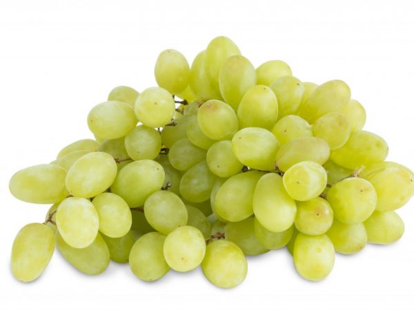 Польза и вред винограда Кишмиш