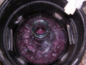 На фото - производство вина из винограда Изабелла, na-dache.com.ua